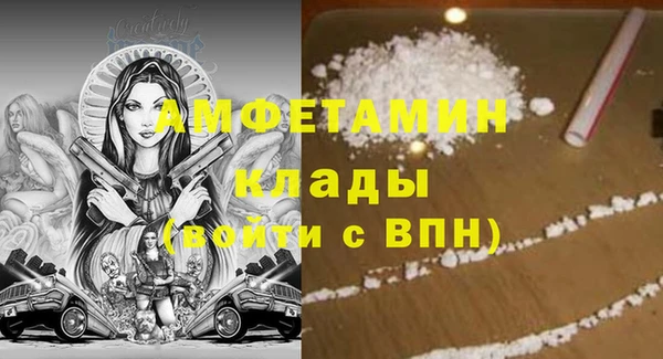 амф Алексин