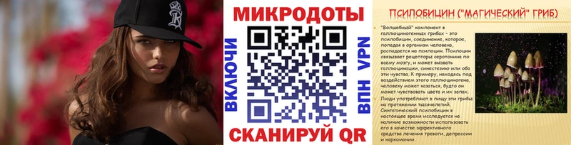 как найти закладки  Шацк  Галлюциногенные грибы Psilocybe 